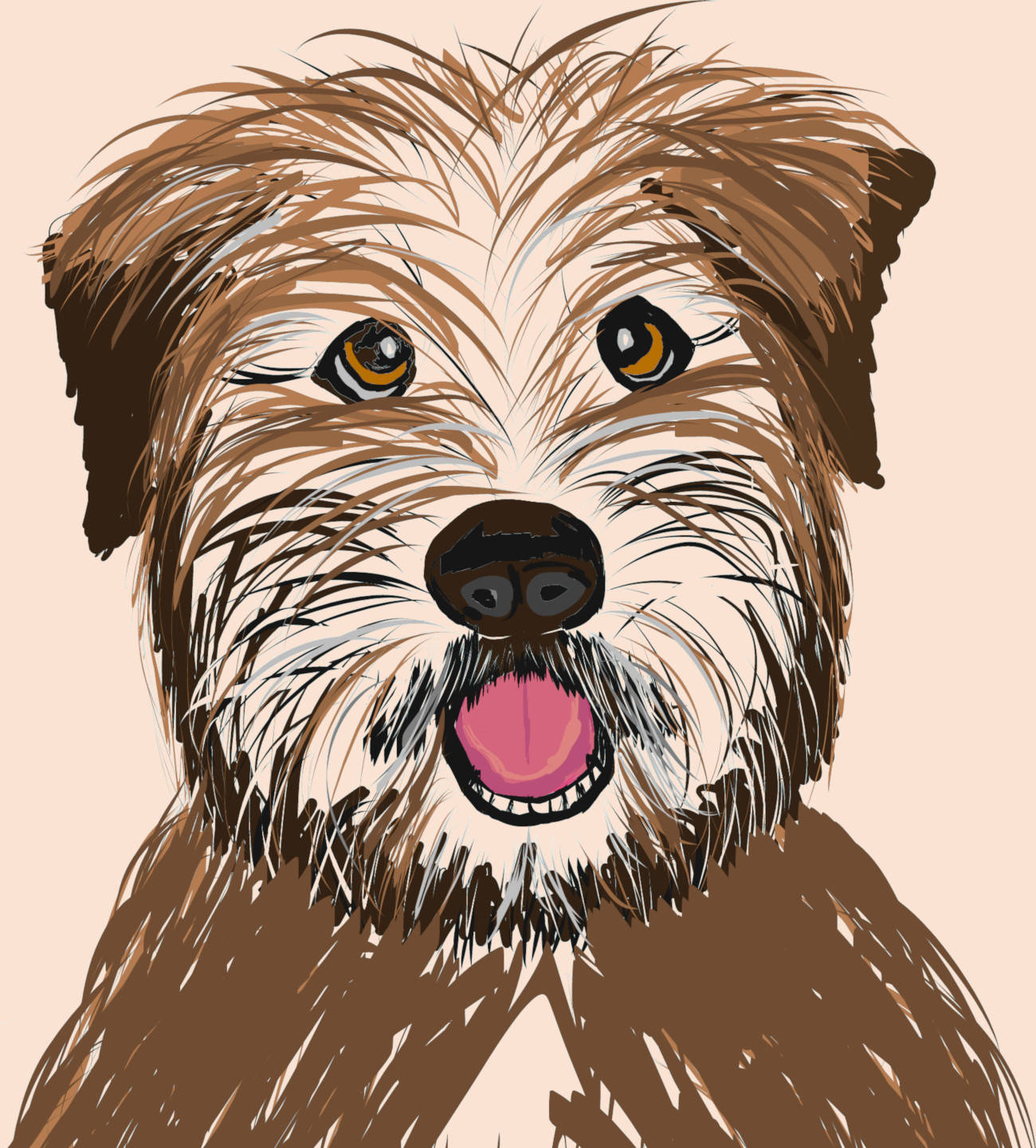 cute, happy, fun dog, wheaten terrier